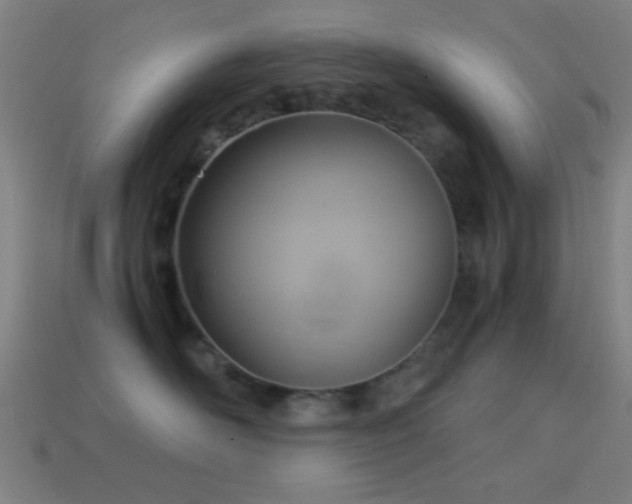 X0000114700526200910211254