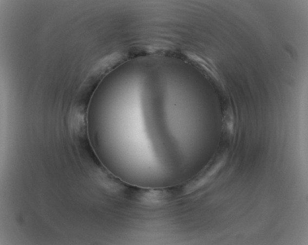 X0000114700527200910211254