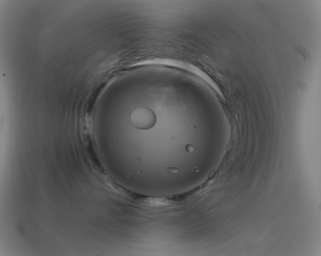 X0000114700528200910211254