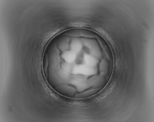 X0000114700529200910211254