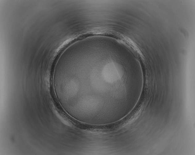 X0000114700530200910211254