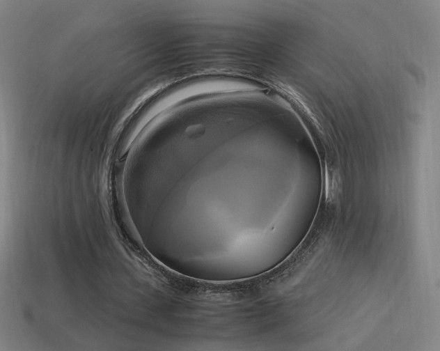 X0000114700531200910211254