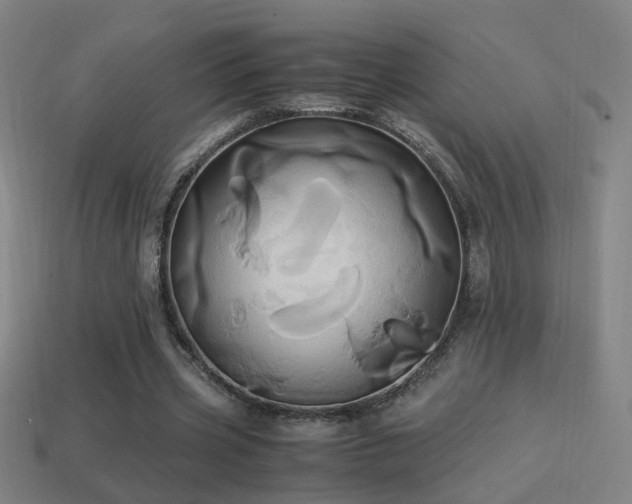 X0000114700533200910211254