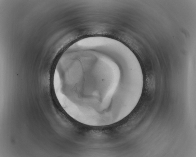 X0000114700534200910211254