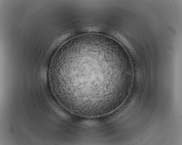 X0000114700537200910211254