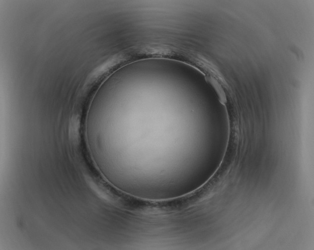 X0000114700538200910211254