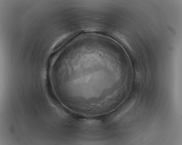 X0000114700539200910211254