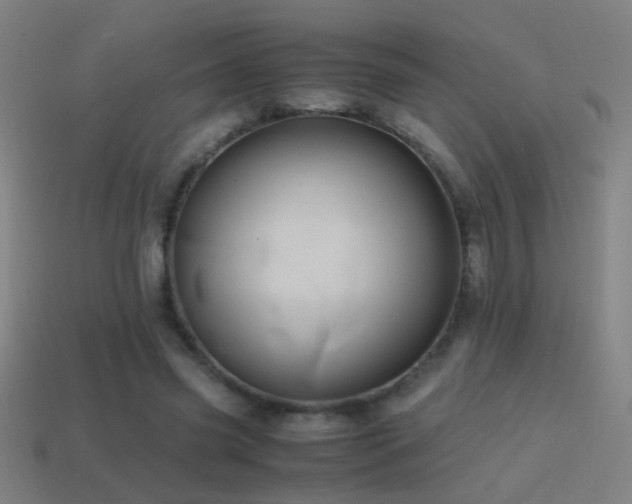 X0000114700541200910211254