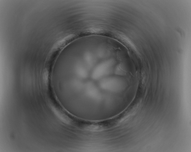 X0000114700542200910211254