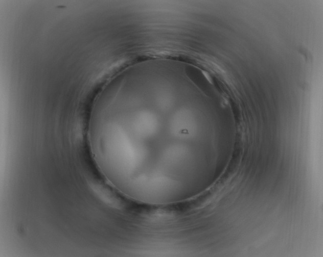 X0000114700546200910211254