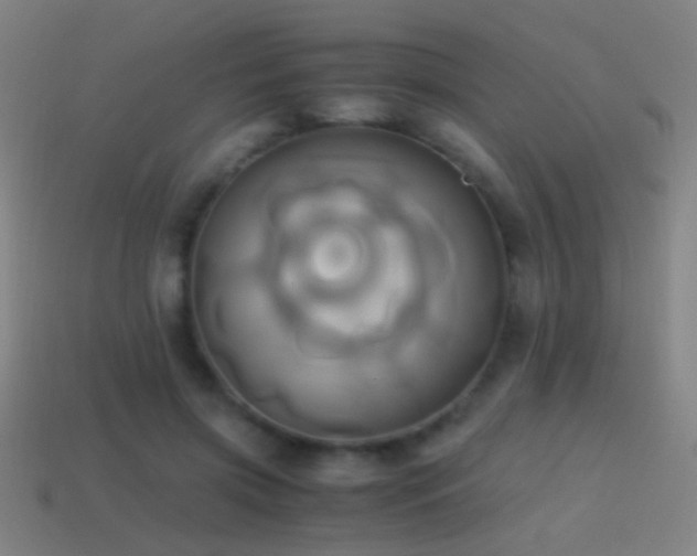 X0000114700549200910211254