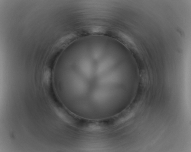 X0000114700550200910211254