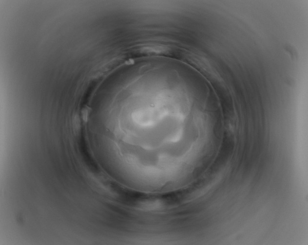 X0000114700551200910211254