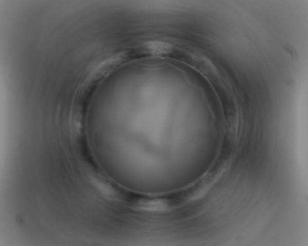 X0000114700553200910211254