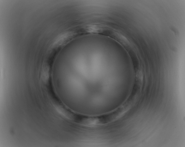 X0000114700554200910211254