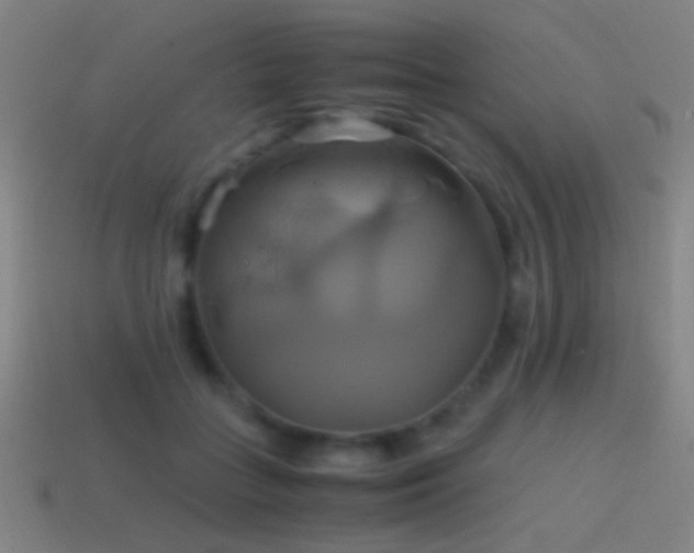 X0000114700555200910211254