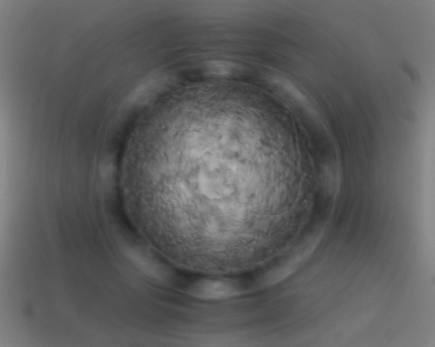 X0000114700557200910211254