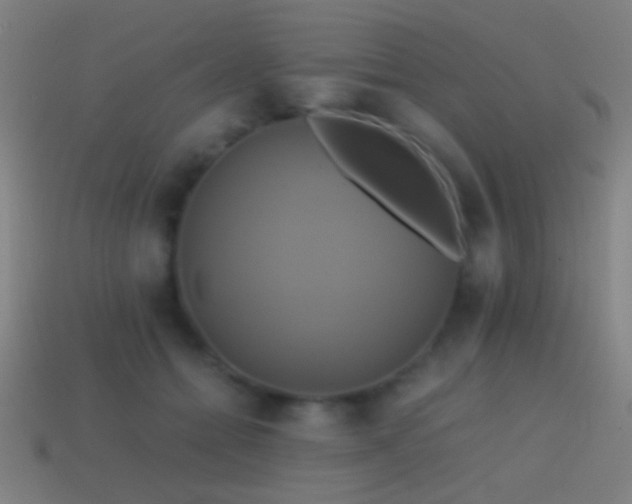 X0000114700558200910211254