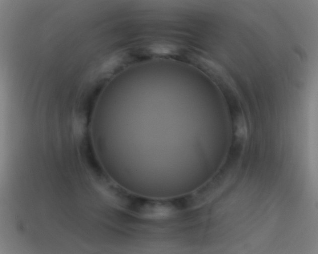 X0000114700559200910211254