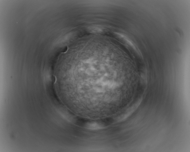 X0000114700561200910211254