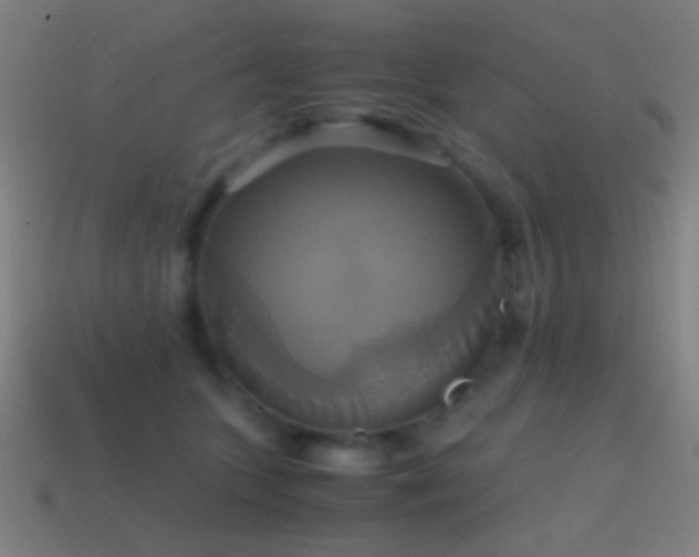 X0000114700563200910211254