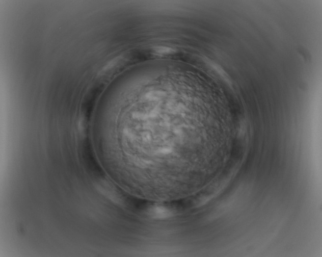 X0000114700565200910211254