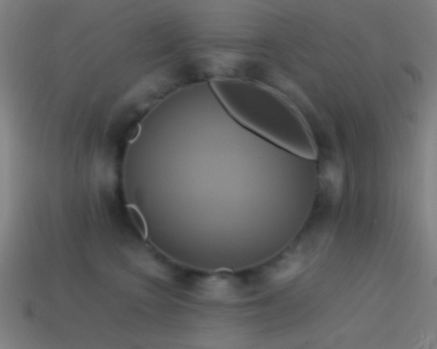 X0000114700566200910211254