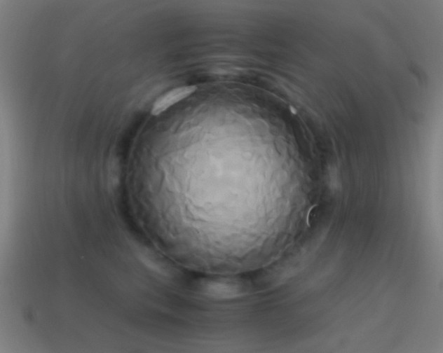 X0000114700567200910211254