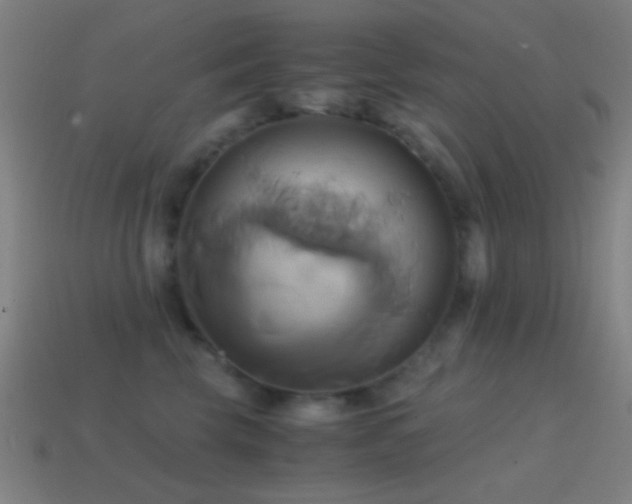 X0000114700569200910211254