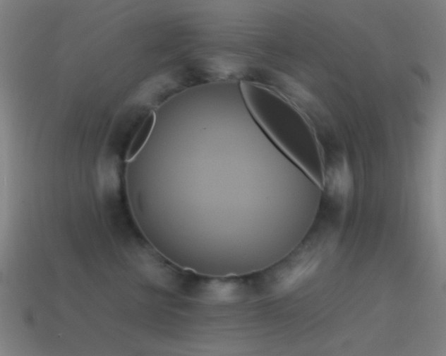 X0000114700570200910211254