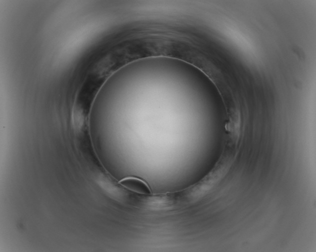 X0000114700574200910211254