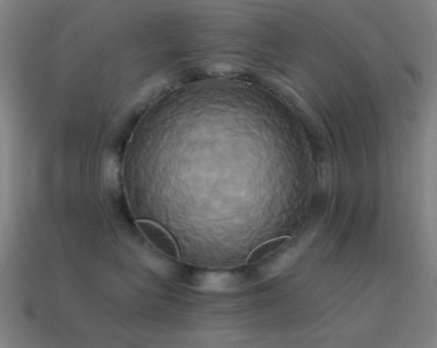 X0000114700575200910211254