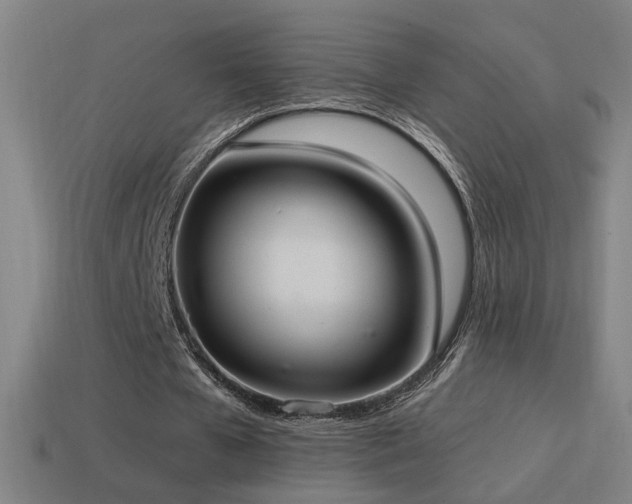 X0000114700577200910211254