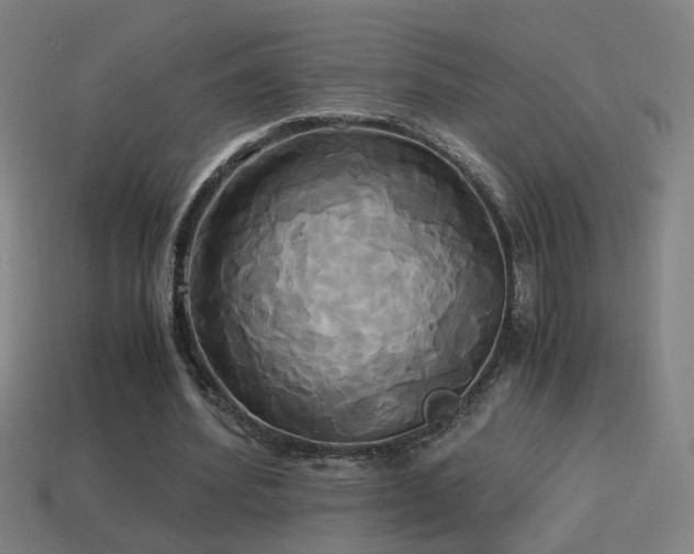 X0000114700580200910211253