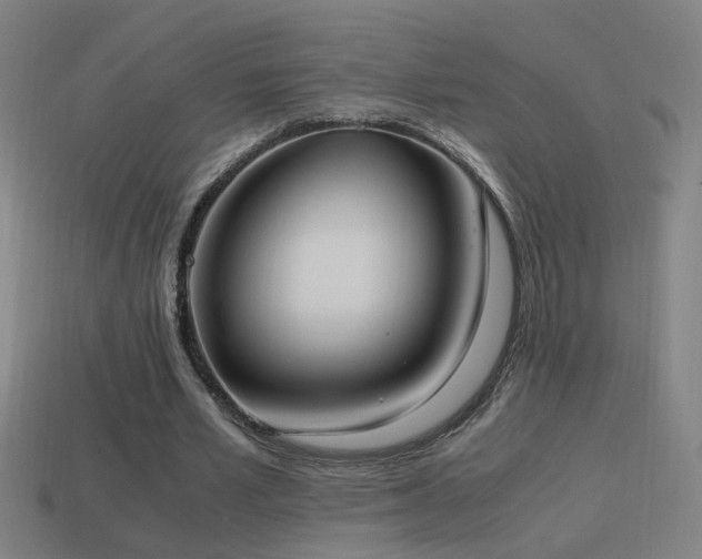 X0000114700581200910211253