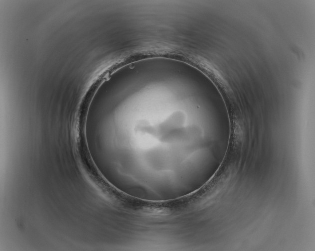 X0000114700582200910211253