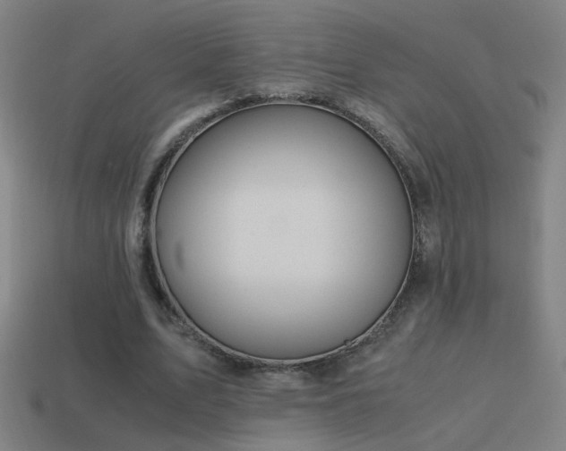 X0000114700583200910211253