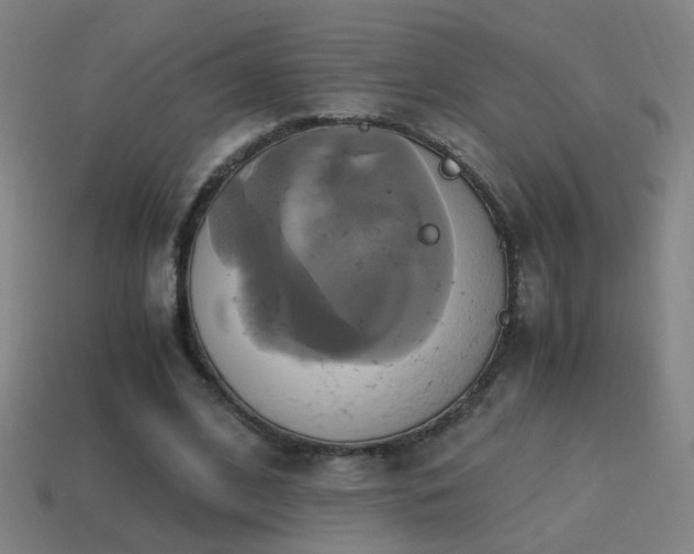 X0000114700584200910211253