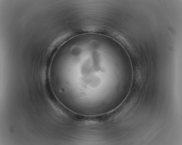 X0000114700586200910211253