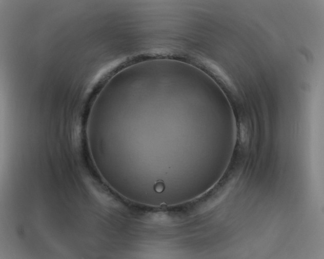 X0000114700588200910211253