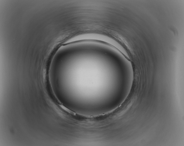 X0000114700589200910211253