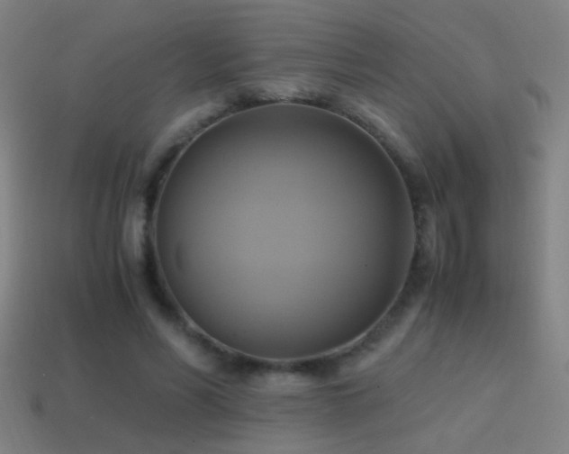 X0000114700590200910211253