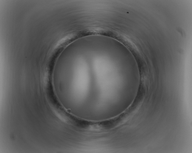 X0000114700591200910211253