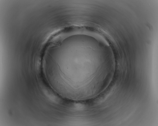 X0000114700592200910211253