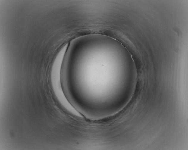 X0000114700593200910211253