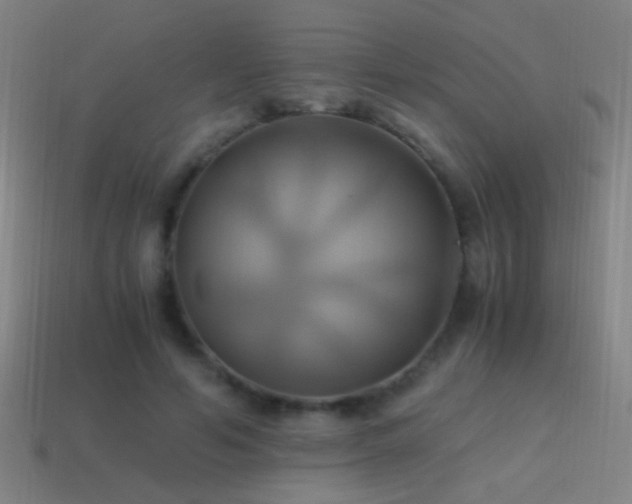 X0000114700594200910211253