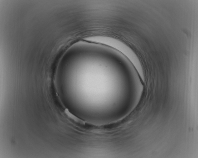 X0000114700595200910211253