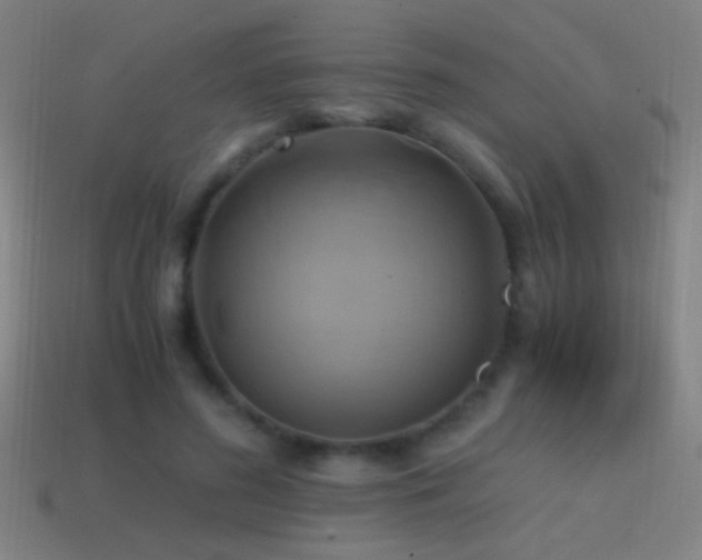 X0000114700596200910211253