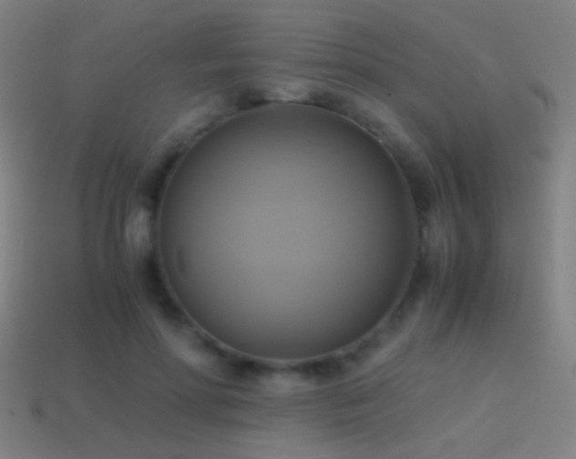 X0000114700598200910211253