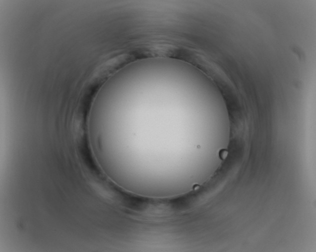 X0000114700599200910211253